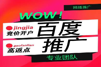 某品牌通过SEM优化实现品牌增长的故事